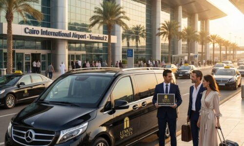 Airport pickup and drop off from and to Mangroovy